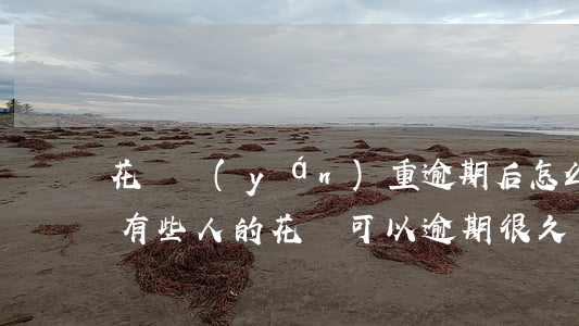 花唄嚴(yán)重逾期后怎么催款(為什么有些人的花唄可以逾期很久才被催款)
