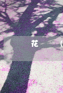花唄嚴(yán)重逾期多久能解凍