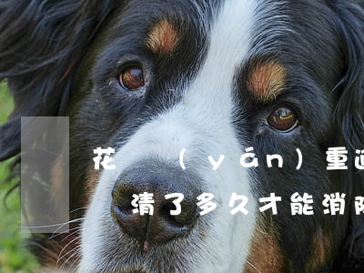 花唄嚴(yán)重逾期怎么清楚(花唄逾期還清了多久才能消除負(fù)面記錄)