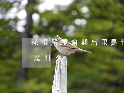 花唄嚴重逾期后果是什么(花唄嚴重逾期后果是什么)