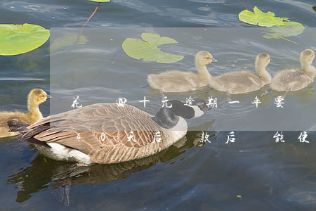 花唄四十元逾期一年要還多少錢-花唄逾期40天后還款后還能使用嗎?