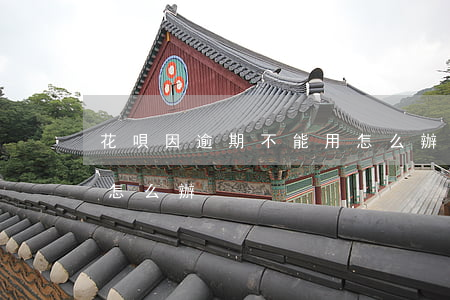 花唄因逾期不能用怎么辦(花唄因逾期不能用怎么辦)