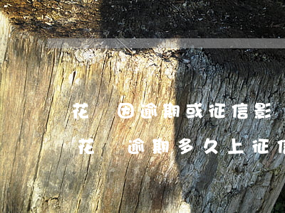 花唄因逾期或征信影響(花唄逾期有什么影響?花唄逾期多久上征信)