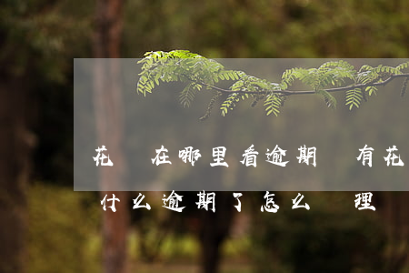 花唄在哪里看逾期沒有(花唄顯示逾期不知道什么逾期了怎么處理)