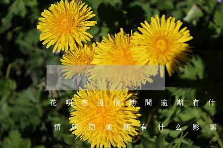 花唄在疫情期間逾期有什么影響-花唄在疫情期間逾期有什么影響嗎