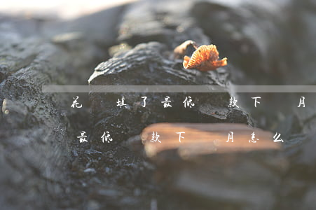 花唄填了最低還款下個月怎么還-花唄填了最低還款下個月怎么還款