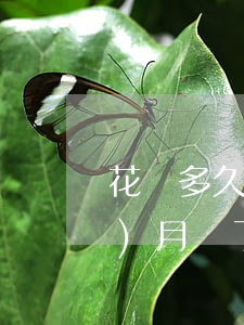 花唄多久不還才算逾期(花唄逾期幾個(gè)月還了多久才可以用花唄)