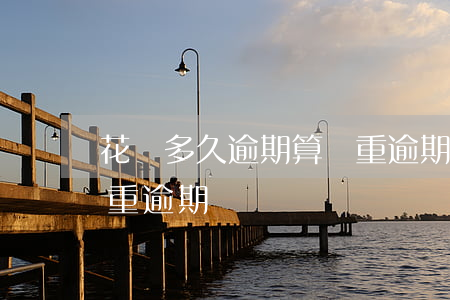花唄多久逾期算嚴重逾期(花唄多久逾期算嚴重逾期)