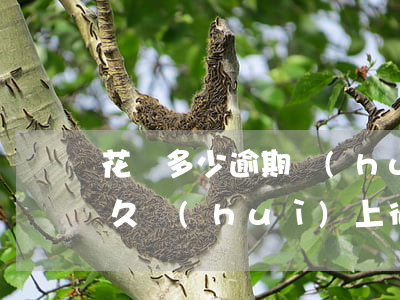 花唄多少逾期會(huì)上征信(花唄逾多久會(huì)上征信)