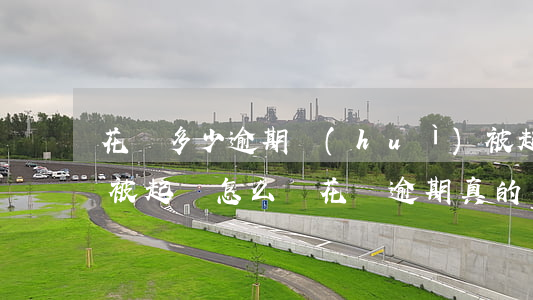 花唄多少逾期會(huì)被起訴?花唄逾期被起訴怎么辦（花唄逾期真的有起訴案例嗎）