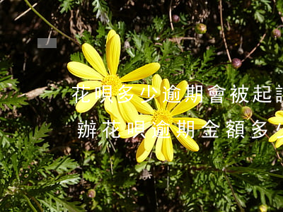 花唄多少逾期會被起訴?花唄逾期被起訴怎么辦（花唄逾期金額多少多久會被起訴）