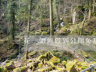 花唄如何做到分期免息(花唄怎么樣分期免息)