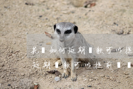 花唄如何延期還款可以提前還嗎-花唄如何延期還款可以提前還嗎安全嗎