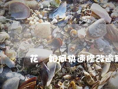 花唄如何快速修改逾期(花唄怎么改期)