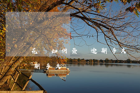 花唄如何查詢逾期多久沒還 花唄如何查詢逾期多久沒還