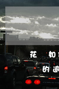 花唄如何查詢逾期記錄怎么消除-怎么看花唄的逾期記錄