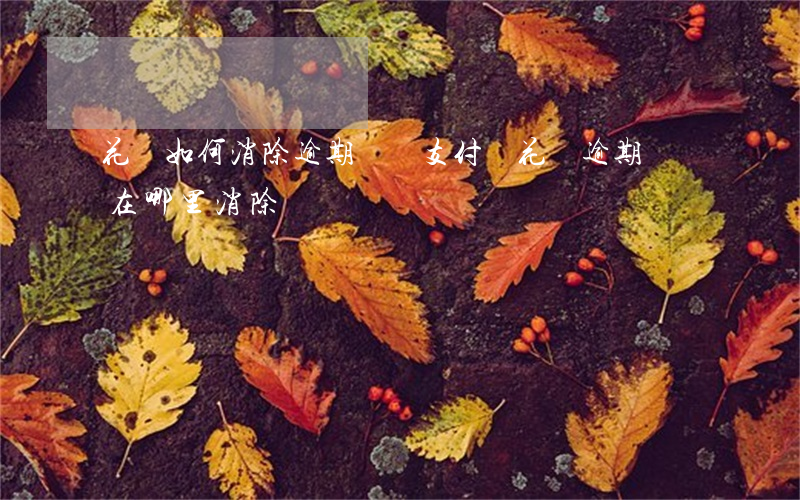 花唄如何消除逾期記錄(支付寶花唄逾期記錄在哪里消除)