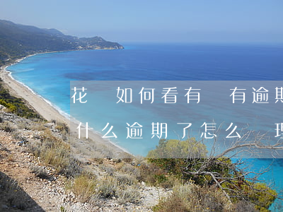 花唄如何看有沒有逾期(花唄顯示逾期不知道什么逾期了怎么處理)