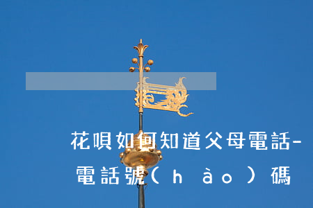 花唄如何知道父母電話-花唄如何知道父母電話號(hào)碼