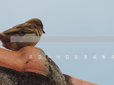 花唄如何還款算逾期 花唄怎樣才算還清