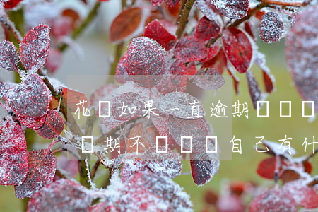 花唄如果一直逾期沒還會怎么樣-花唄逾期長期不還會對自己有什么影響