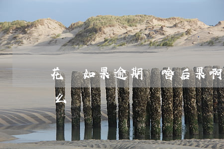 花唄如果逾期沒啥后果啊(如果花唄逾期會怎么樣)