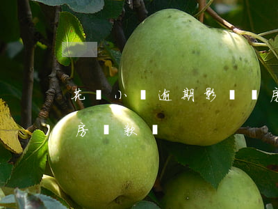 花唄小額逾期影響買房(花唄小額逾期影響買房貸款嗎)