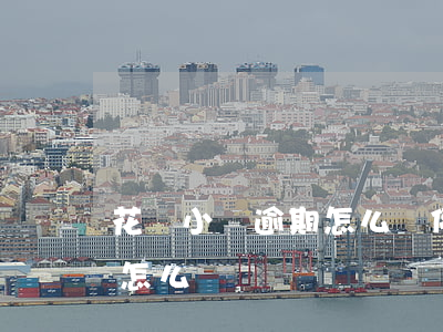 花唄小額逾期怎么辦停息掛賬（花唄小額逾期怎么辦）