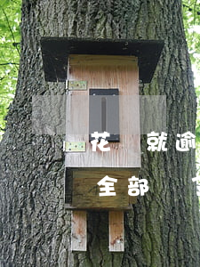 花唄就逾期十天,然后全部現(xiàn)在全部還了用不了（支付寶花唄逾期了想一點點還）