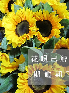 花唄已經(jīng)做分期逾期后(花唄分期逾期了3個月還清了,剩下的分期能不能繼續(xù)還)