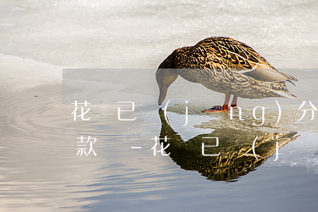 花唄已經(jīng)分期了還要還最低還款嗎-花唄已經(jīng)分期了還要還最低還款嗎怎么辦
