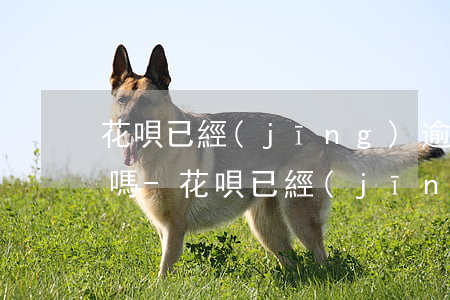 花唄已經(jīng)逾期了還能分期還款嗎-花唄已經(jīng)逾期了還能分期還款嗎怎么還