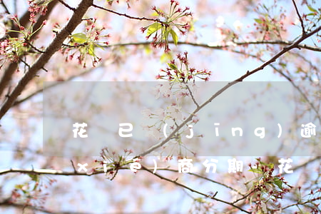 花唄已經(jīng)逾期兩個月怎么協(xié)商分期-花唄已經(jīng)逾期兩個月怎么協(xié)商分期還款