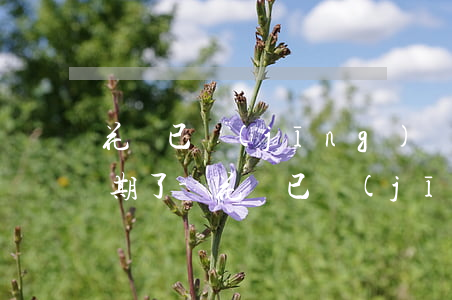 花唄已經(jīng)還完了為啥還顯示逾期了-花唄已經(jīng)還完了為啥還顯示逾期了呢