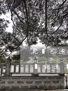 花唄已逾期怎么去守約(花唄逾期后守約無記錄就是沒有過逾期?)
