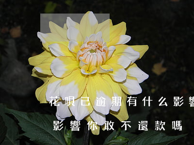 花唄已逾期有什么影響(花唄逾期還款有什么影響?你敢不還款嗎)