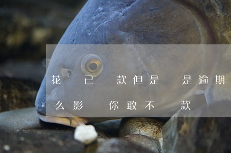 花唄已還款但是還是逾期(花唄逾期還款有什么影響?你敢不還款嗎)