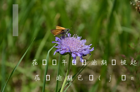 花唄幾年沒還逾期會被起訴嘛-我的支付寶花唄逾期已經(jīng)很久很久了,會不會被起訴?