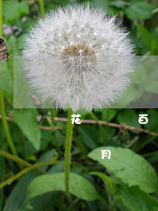 花唄幾百也逾期的男人(花唄1500逾期3個月會產(chǎn)生多少費用)