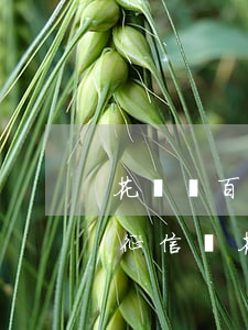 花唄幾百逾期上征信么(花唄逾期1000上征信嗎?花唄逾期有什么后果)