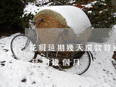 花唄延期幾天還款算逾期(花唄延期還款可以延期幾個月)