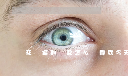花唄延期還款怎么還要我今天還-