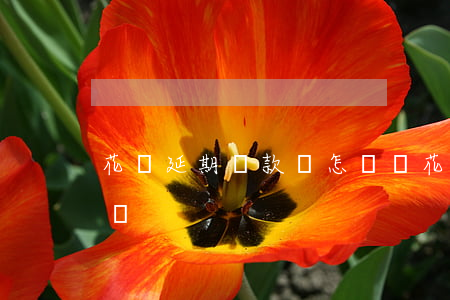 花唄延期還款會怎樣嗎 花唄延期還款會怎樣嗎