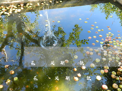 花唄延期還款這個(gè)月還需要還嗎-花唄延期還款這個(gè)月還需要還嗎