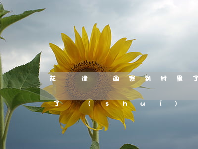 花唄律師函寄到村里了(花唄律師函寄到村里了誰(shuí)簽收?)