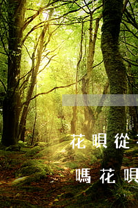 花唄從不逾期上征信嗎(花唄借唄逾期上征信嗎?花唄逾期有什么后果)