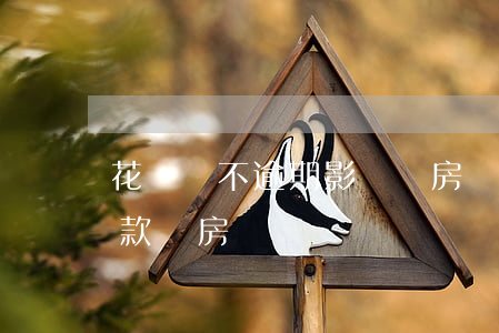 花唄從不逾期影響買房嗎(花唄沒還清影響貸款買房嗎)