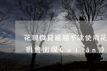 花唄微貸逾期不能使用(花唄沒逾期為什么花唄會出現(xiàn)無法使用花唄)