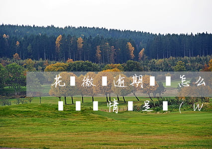 花唄微貸逾期記錄怎么辦(花唄有逾期還款記錄,這樣情況是無(wú)法正常使用花唄的)