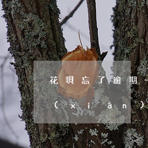 花唄忘了逾期一天有事嗎(花唄逾期了幾天,現(xiàn)在還了,不能用了)